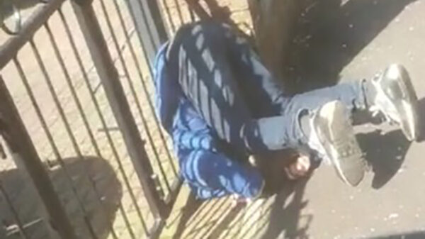 Waar zou deze dichtgevouwen kerel van hebben gesnoept?