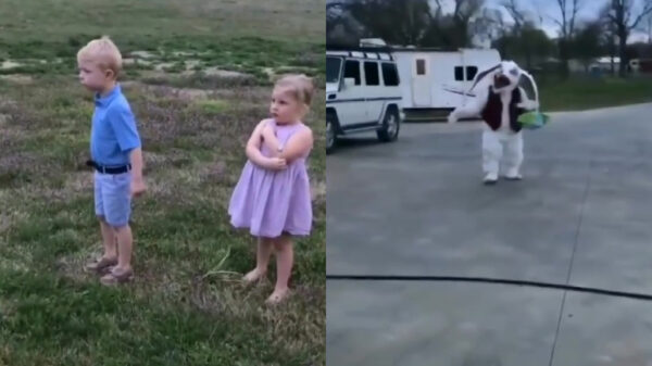 Paastrauma voor twee koters in 3... 2... 1...