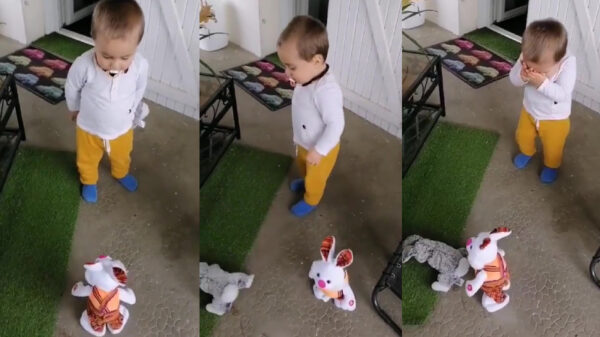 Paashaas laat zien waar konijntjes het allerbest in zijn