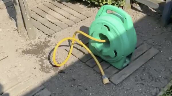 Eieren zoeken in het jaar 2020