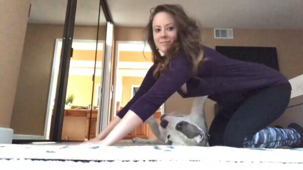 Brutus laat zich van zijn beste kant zien als hij mee wil yogaën