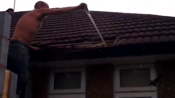 Het slechtste plan van vandaag: een wespennest met een zaag verwijderen