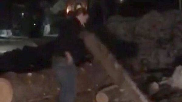 Boomstam heeft een hekel aan jouw sigaret