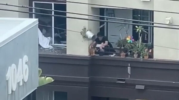 Sommige figuren draaien compleet door als ze te lang in quarantaine zitten