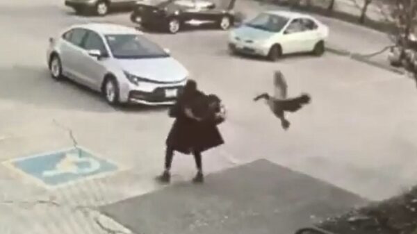 Vrouw doet er alles aan om aan een lijpe gans te ontsnappen