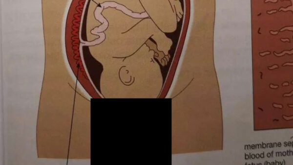 Ophef van de dag: Brits biologieboek omstreden vanwege geschoren voorbips