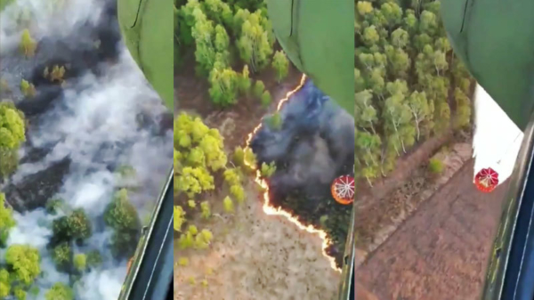 POV-beelden Chinook van het blussen van de bosbrand in de Deurnsche Peel