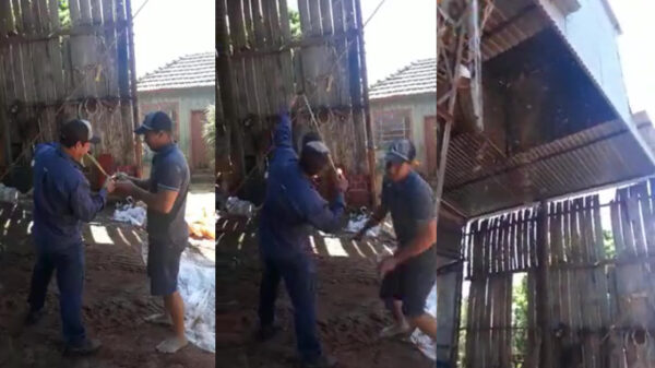 Met wat vuurwerk en een katapult kun je prima een wespennest verwijderen