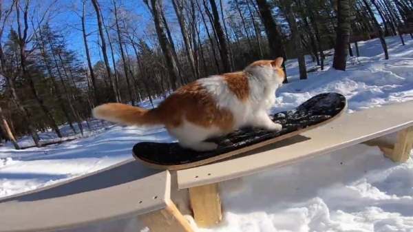 Kat Taddy gaat off-piste en komt met een sicke freestyle snowboardvideo