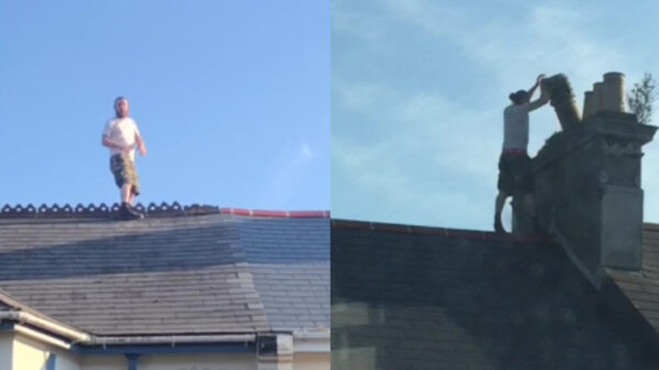 Gekkie zit 4 uur op dak en gooit schoorstenen op auto's