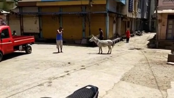 De ezelfluisteraar heeft een goed gesprek op straat