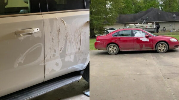 Creatieve peuters en verveling is een bijzonder gevaarlijke combinatie