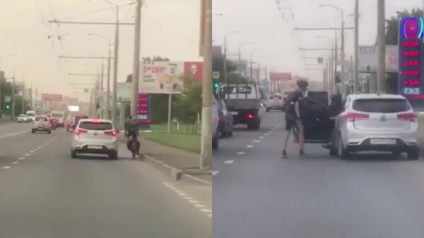 Wielrenner wordt afgesneden en neemt keihard wraak