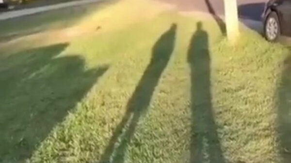 Hey, welke kant ging 'ie op?