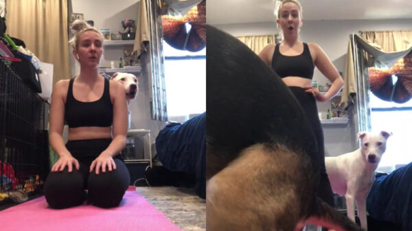 Fikkie laat een dampende verrassing op de yogamat van zijn bazinnetje achter