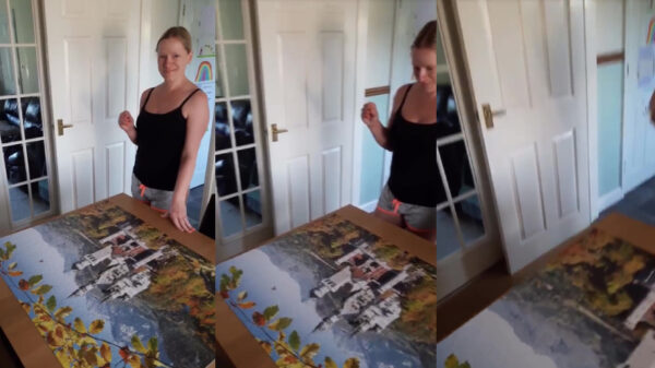 Kijk schat, ik heb eindelijk die puzzel van een miljoenmiljard stukjes af