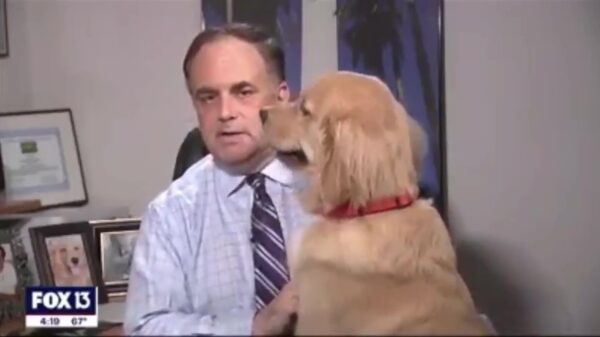 Wat er gebeurt als weermannen vanuit hun eigen huis werken