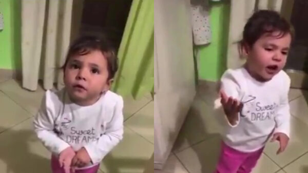 Italiaanse koter heeft haar handgebaren al helemaal on point