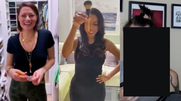 Deze zogenaamde "brush challenge" krijgt een redelijk onverwachte wending