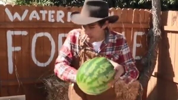 Oneindig veel watermeloenen