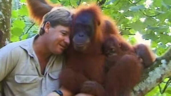 Op de verjaardag van Steve Irwin eren we hem met deze heerlijke beelden