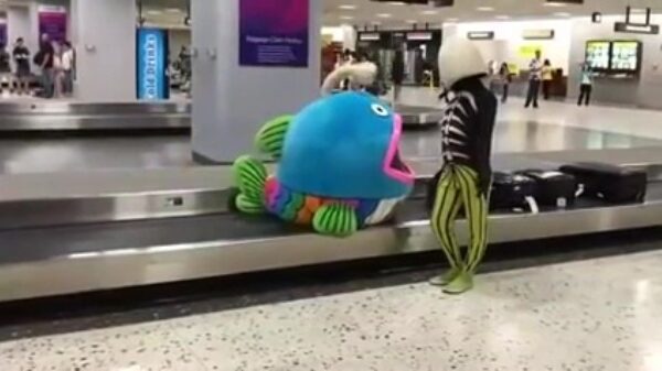 Ondertussen, op het vliegveld van Honolulu