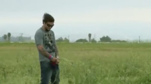 Water Earth Fire Air