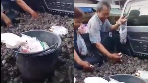 Ook de Kikkergigant is in China weer geopend