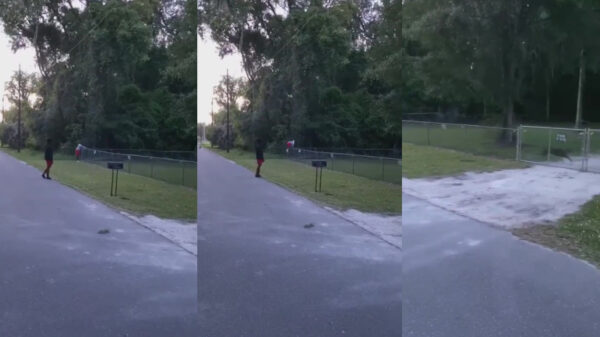 Je voetbal terugpakken als er een agressieve hond achter het hek zit