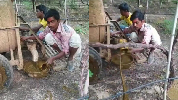 Dus jij dacht dat jij een schijtbaan had?