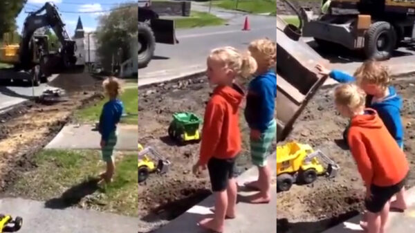 Graafmachinebestuurder met skills bezorgt koters dag van hun leven