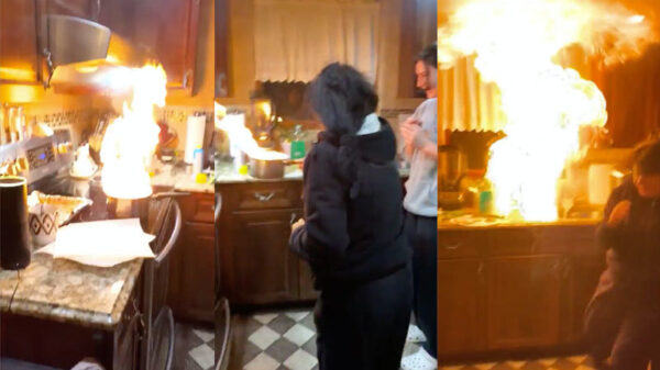 Het bewijs dat sommige mensen beter hun eten kunnen bestellen