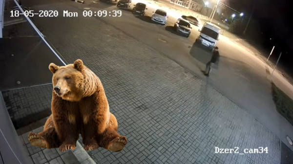 Russische man wordt uit het niets op straat aangevallen door een beer