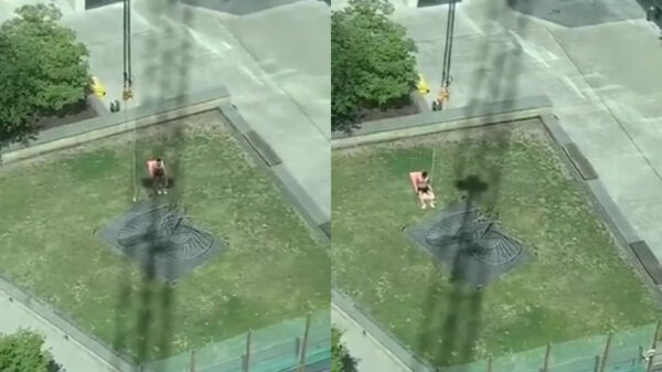 Kraanmachinist trolt zonaanbidder door hem elke keer in de schaduw te zetten