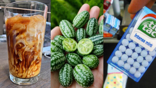 32 bevredigende pics & gifs op deze zonnige Hemelvaartsdag