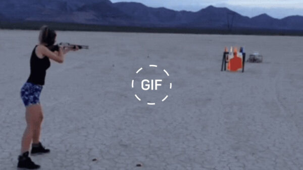 Een gifdump die vol met verrassingen zit