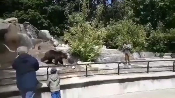 Dronken Pool probeert beer te verdrinken in dierentuin van Warschau