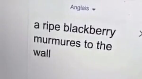 Wie zegt dat Frans moeilijk is? (3)