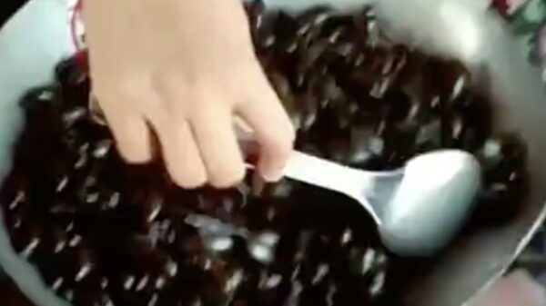 COVID-20 in the making