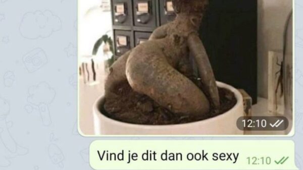 Gekke gesprekken en advertenties op internet (10)