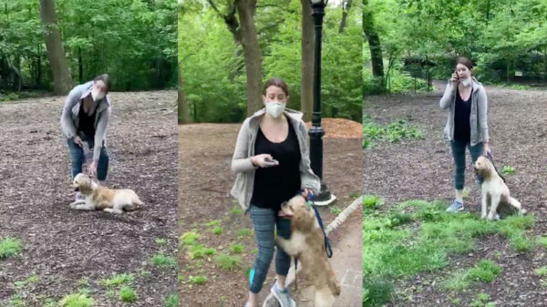 Paranoïde vrouw belt politie omdat er wordt gevraagd of ze d'r hond wil aanlijnen