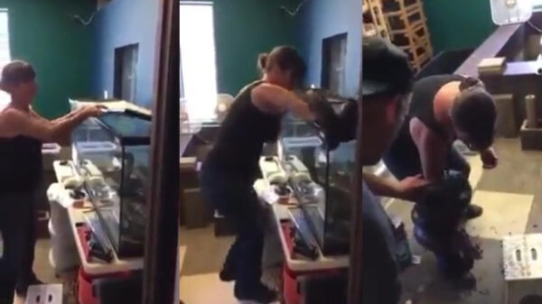 Al eens een enorme slang met een ochtendhumeur gezien?