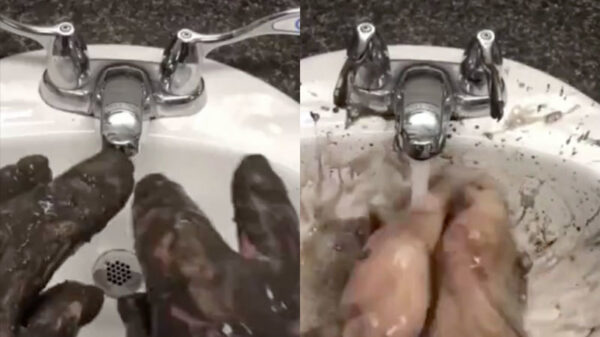 Note to self: goed je handen wassen tegen het coronavirus