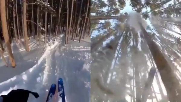 Skiër maakt in volle vaart hardhandig kennis met een boom