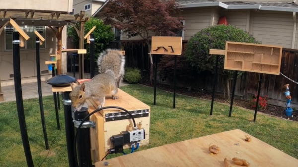 Youtuber Mark Rober probeert het perfecte eekhoornbestendige vogelvoederhuisje te bouwen