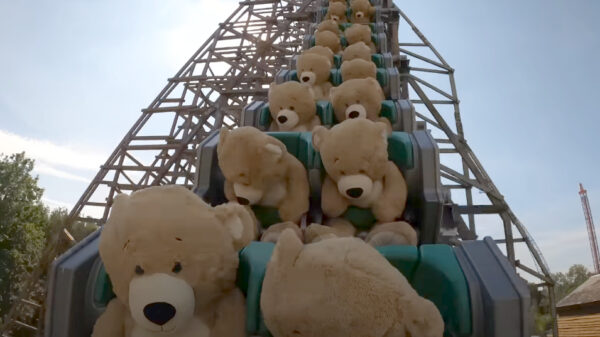Hele kudde knuffelberen mag een ritje maken in Walibi's Untamed