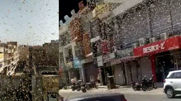 India heeft level 3 van 2020 al geünlockt