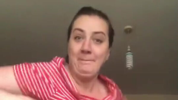 Even een lekker kippendansje om je door de dag te helpen