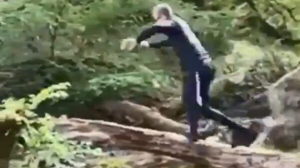 Boomstam werkt niet mee tijdens het oversteken