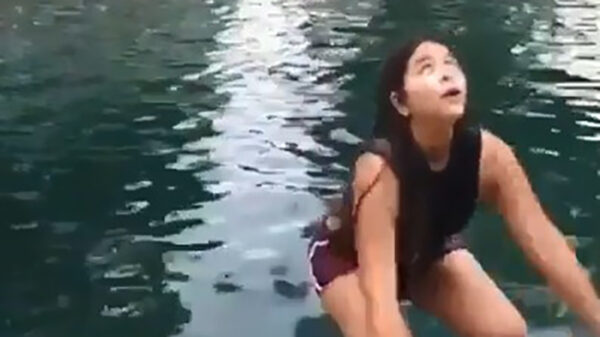 We hebben zelden zo'n mooie backflip gezien